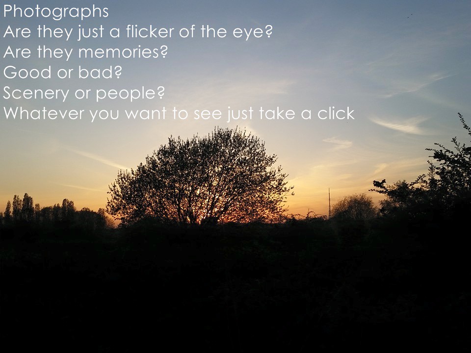 Laugh, Learn, and Connect with QuotePoem 7